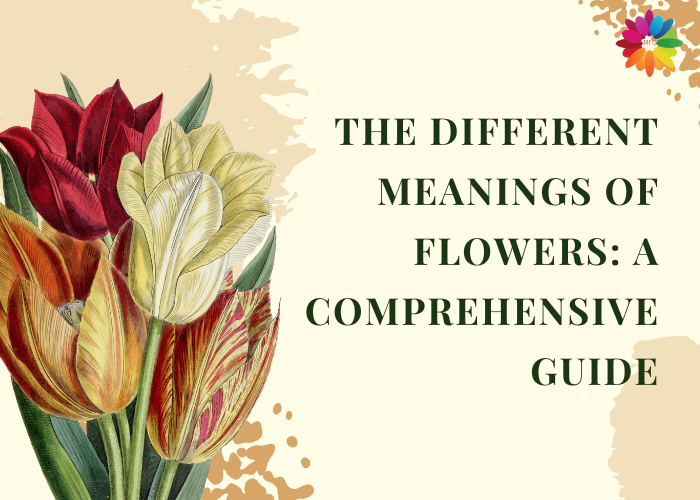 The Different Meanings Of Flowers A Comprehensive Guide Flowers Meaning