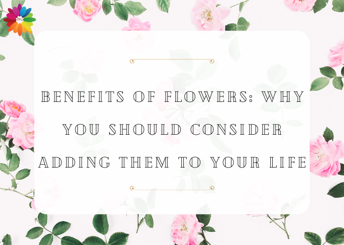 Benefits of Flowers Flowers in Your Life MyFlowerGift