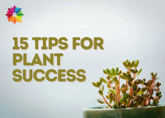 15 Tips for Plant Success