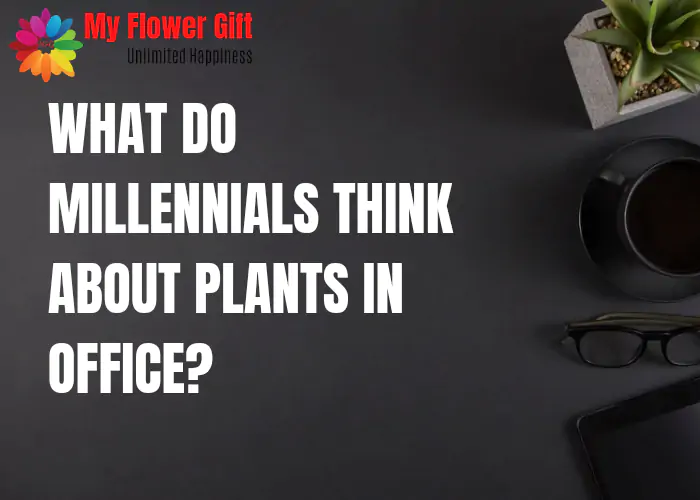 What Do Millennials Think About Plants In Office? 