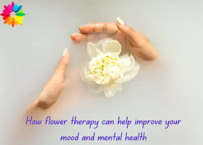 How Flower Therapy Can Help Improve Your Mood and Mental Health