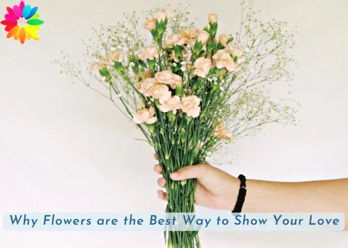Why Flowers are the Best Way to Show Your Love