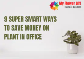 9 Super Smart Ways to Save Money on Plants in the Office