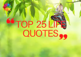 Top 25 Life Quotes