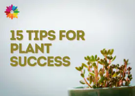 15 Tips for Plant Success