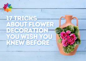 17 Tricks About Flower Decoration You Wish You Knew Before