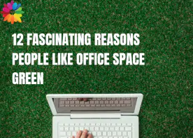 12 Fascinating Reasons People Like Office Space Green