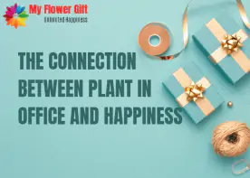 The Connection Between Plant in Office and Happiness