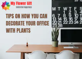 Tips on how you can decorate your office with plants