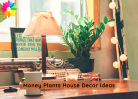 Money Plants House Decor Ideas