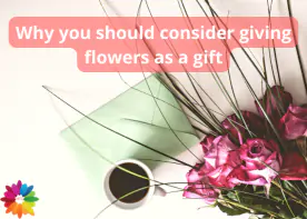 Why you should consider giving flowers as a gift