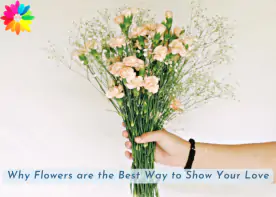Why Flowers are the Best Way to Show Your Love