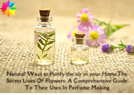 The Secret Lives Of Flowers: A Comprehensive Guide To Their Uses In Perfume Making