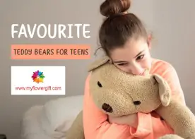 Favorite Teddy Bears For Teens