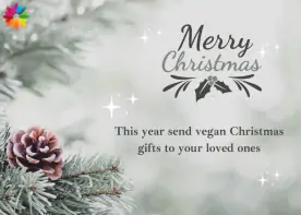 This year send vegan Christmas gifts to your loved ones