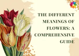 The Different Meanings Of Flowers: A Comprehensive Guide