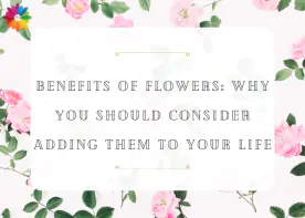 Benefits of Flowers: Why You Should Consider Adding Them To Your Life