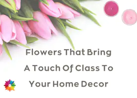 Flowers That Bring A Touch Of Class To Your Home Decor