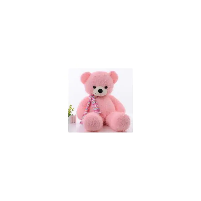 order 2 feet height teddy bear order teddy bear online in India buy best quality teddy bear online