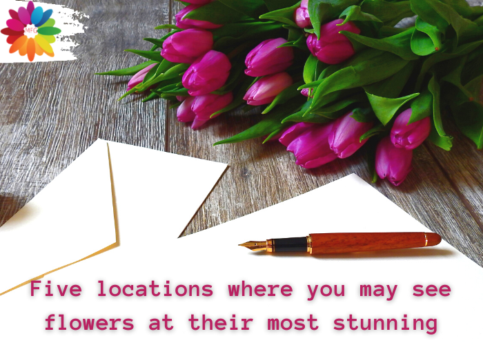 Flowers Five locations where you may see flowers at their most stunning