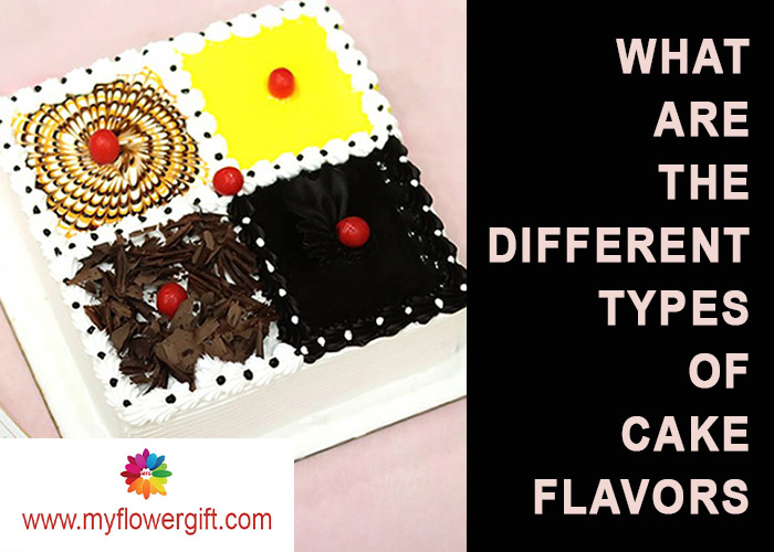 What Are The Different Types Of Cake Flavors? MyFlowerGift
